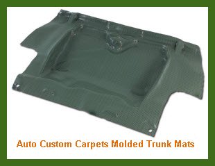 Auto Custom Carpets Molded Trunk Mats